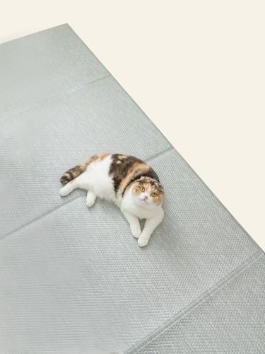 [할인] [폴딩&amp;러그] 캣플레이 고양이 매트