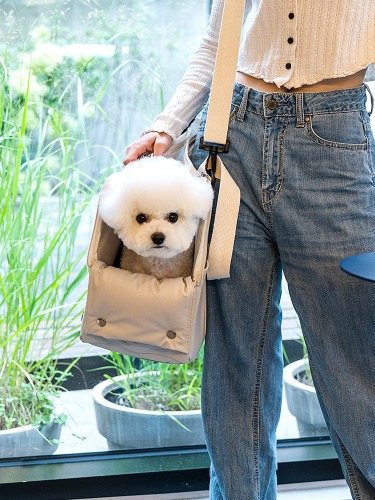 💖더블혜택데이💖 디팡 포그니 강아지 이동가방 고양이 캐리어백 2color