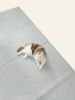 [할인] [폴딩&러그] 캣플레이 고양이 매트